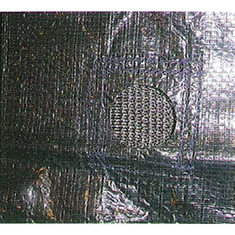 Telo Gre Copertura Invernale Piscine Rotonde 300 Cm - immagine 2